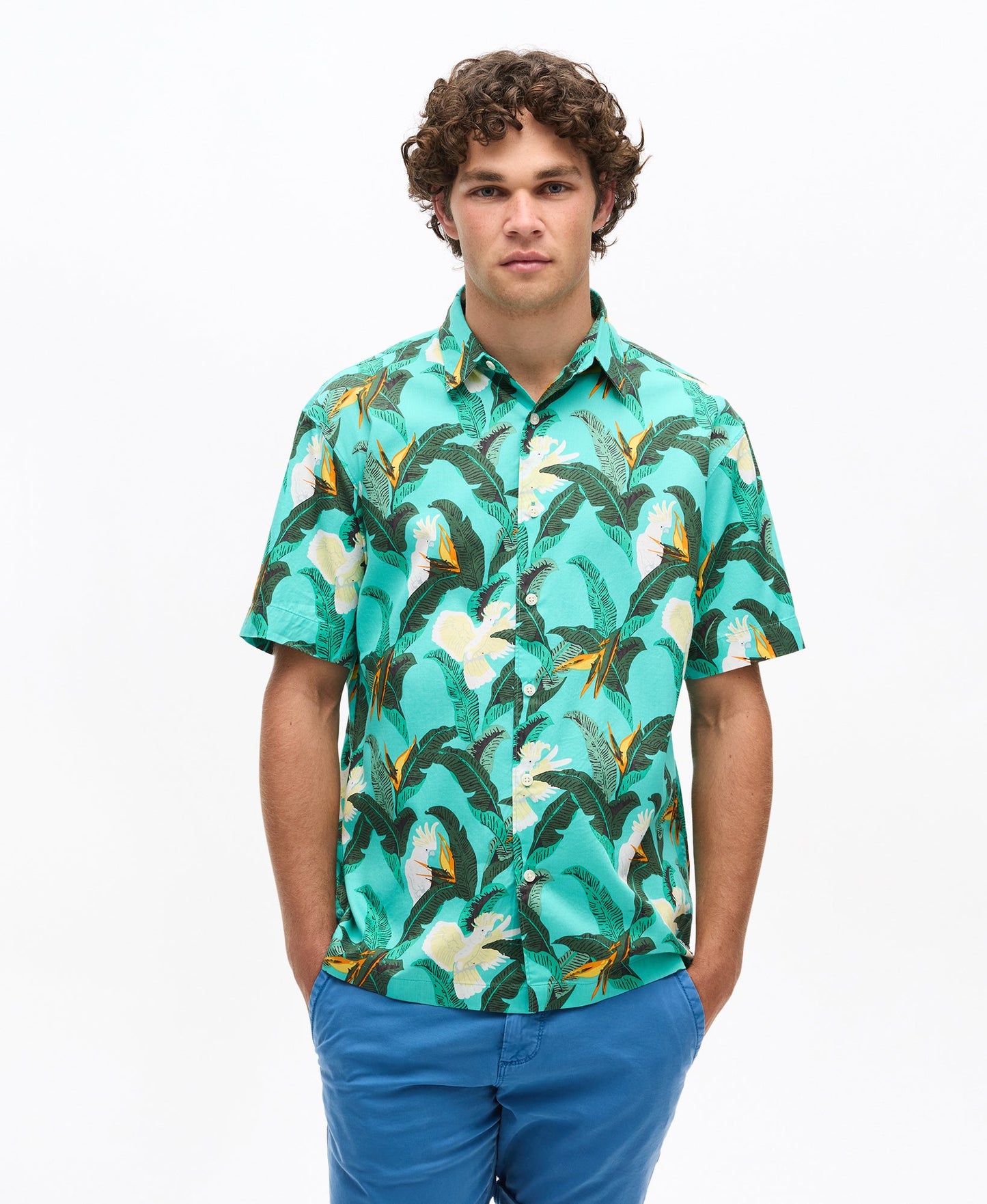 Hawaiian Shirt | Paradise Bird Aqua