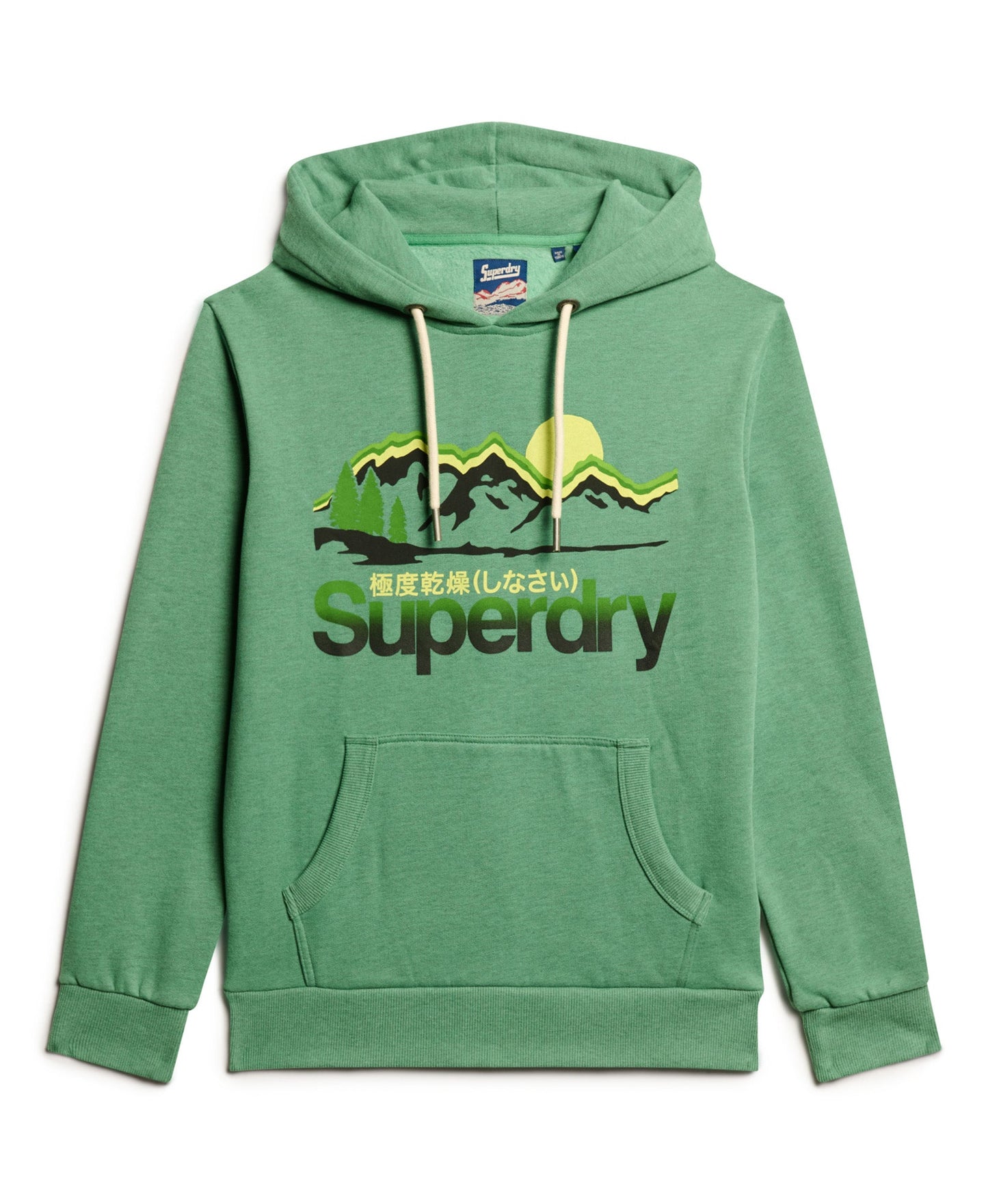 Core Logo Great Outdoors Graphic Hoodie | Winter Mint Marle